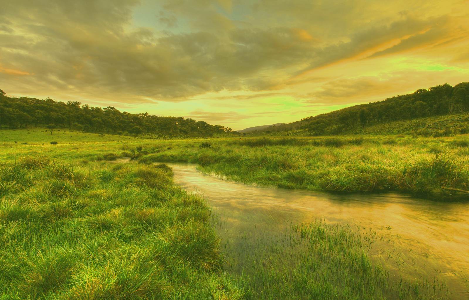 Australian Rural Wetlands - Woolshed Thurgoona Landcare