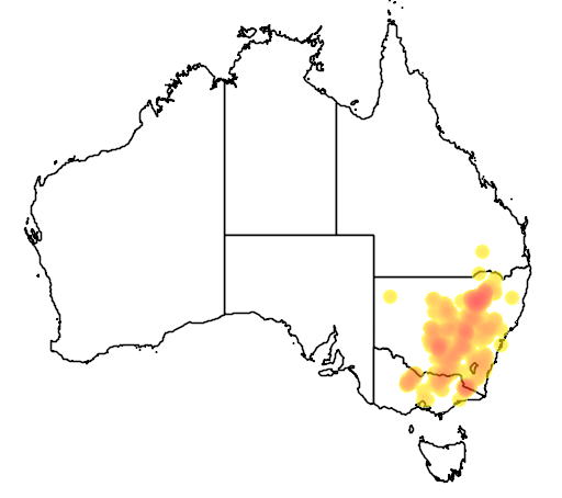 Acacia deanei subsp paucijuga flora location map
