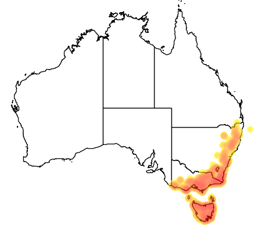 Coprosma quadrifida flora location map