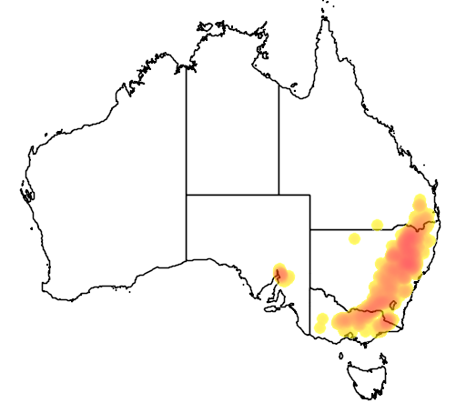 Eucalyptus albens flora location map