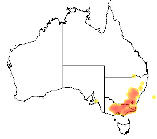 Eucalyptus polyanthemos flora location map
