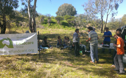 Barbeque during the weed removal for Bush Regeneration at Spillway Reserve - Woolshed Thurgoona Landcare Group