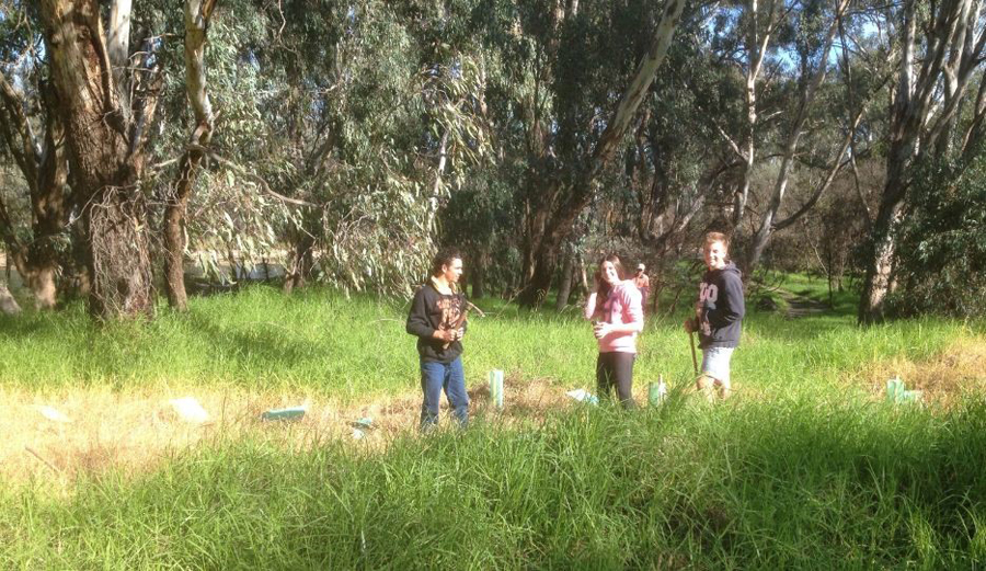 James Fallon School at Spillway Reserve - Woolshed Thurgoona Landcare Group