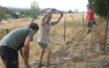 Pipe splitting - Woolshed Thurgoona Landcare Group