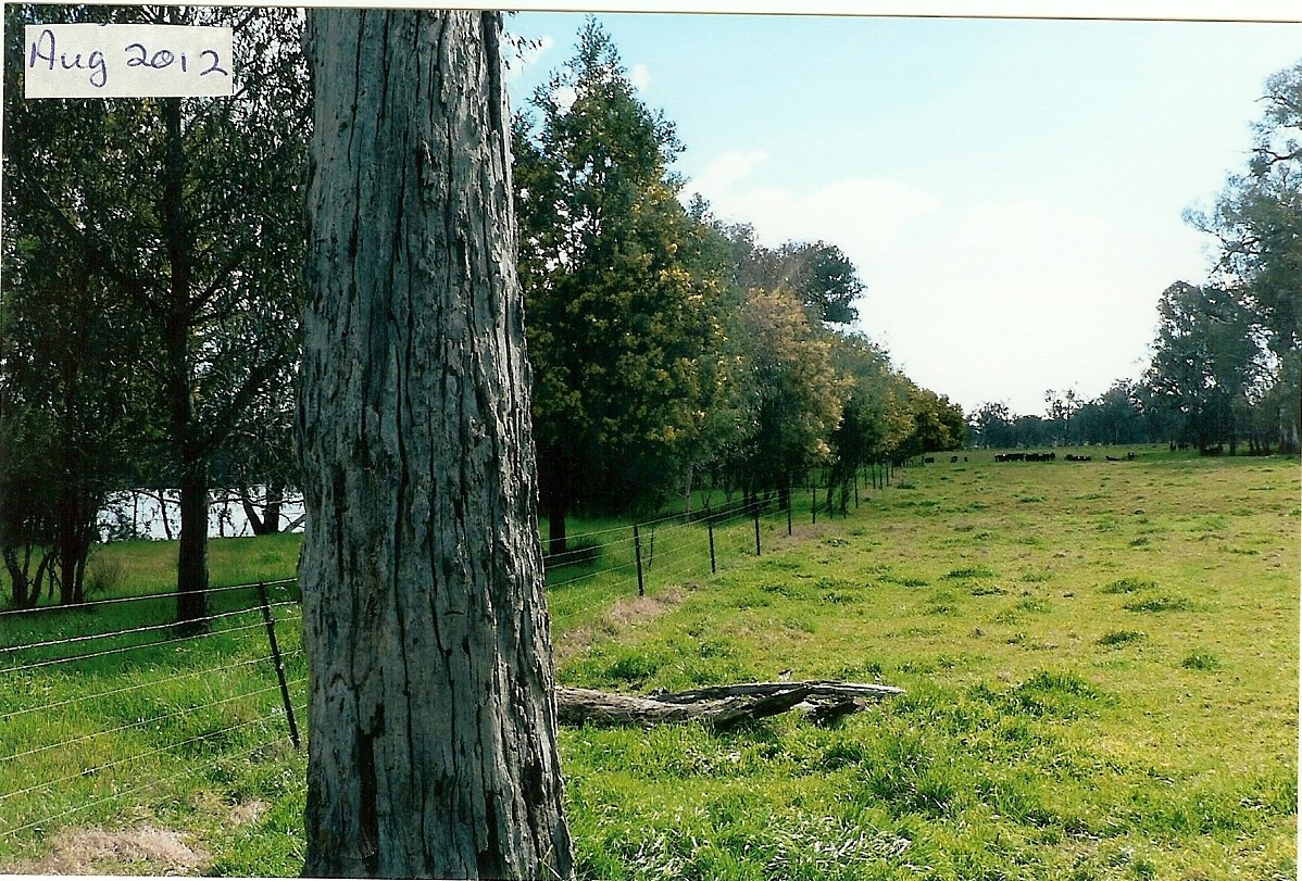 Site 1 - Before and after restoration - Woolshed Thurgoona Landcare Group