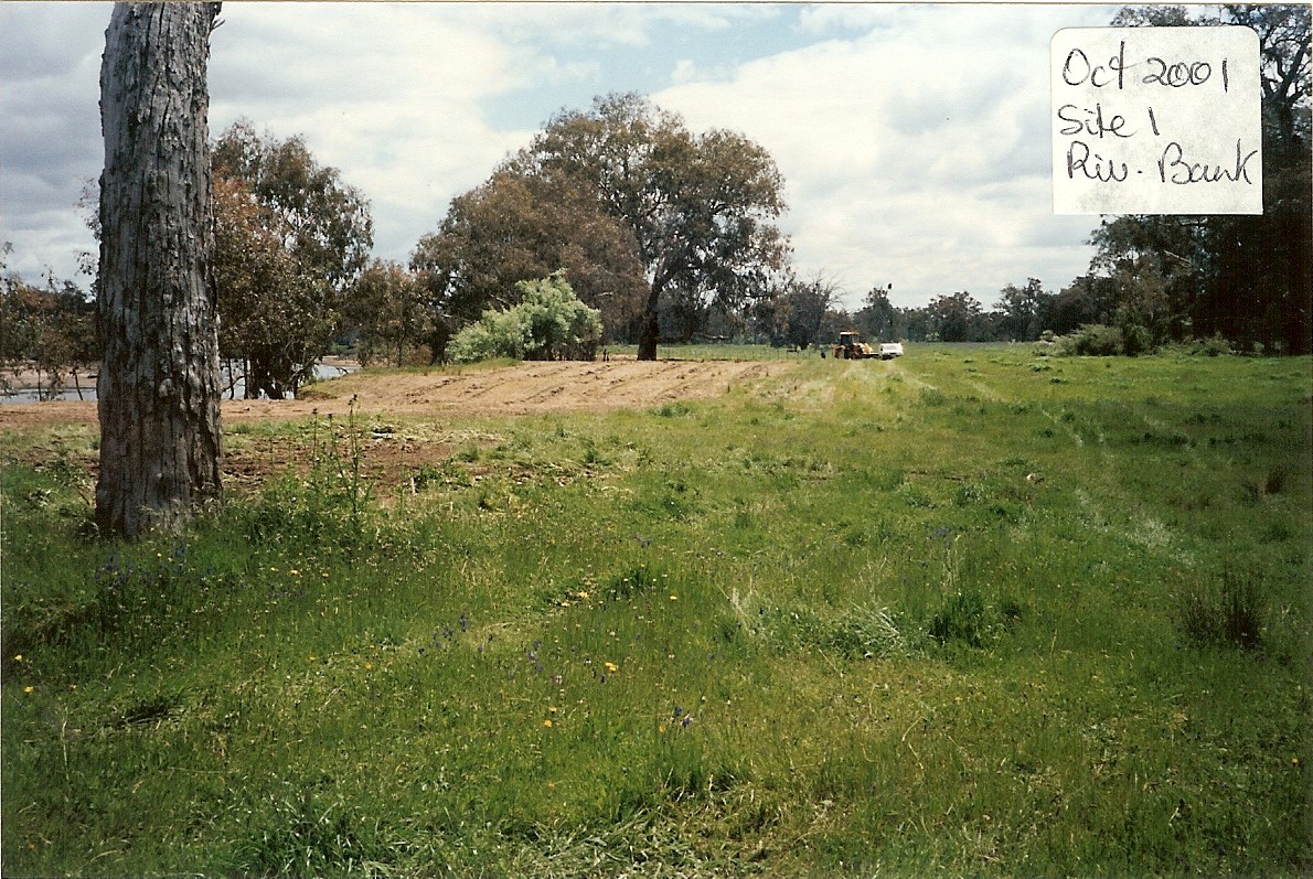Site 1 - Before and after restoration - Woolshed Thurgoona Landcare Group