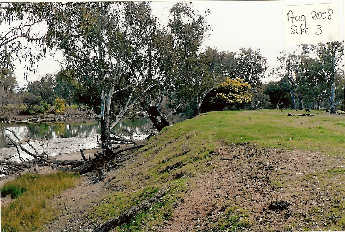 Site 3 - Before and after restoration - Woolshed Thurgoona Landcare Group