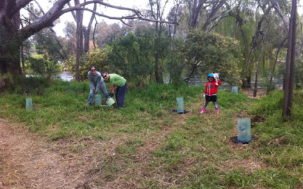 Tree planting at the Hume Spillway - Woolshed Thurgoona Landcare Group