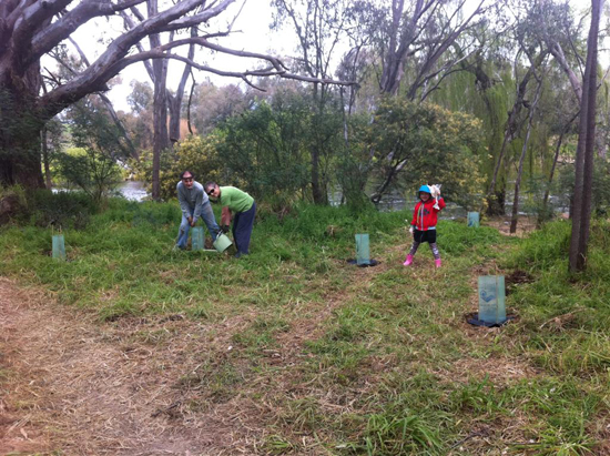 Tree planting at the Hume Spillway - Woolshed Thurgoona Landcare Group