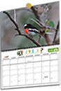 Calendar - Woolshed Thurgoona Landcare Group