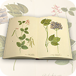 Plants (flora) database index lookup icon