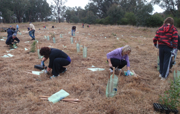 Community - Woolshed Thurgoona Landcare Group