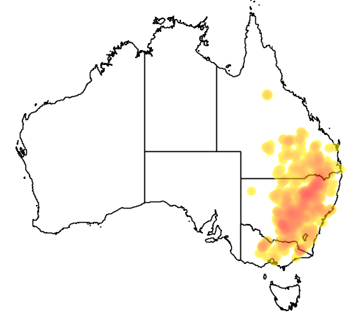 Acacia deanei subsp deanei flora location map