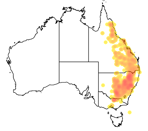 Acacia decora flora location map