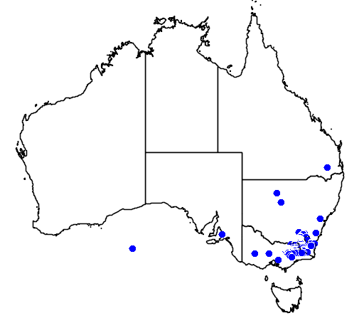 Acacia kettlewelliae flora location map