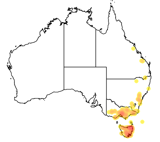 Acacia leprosa flora location map