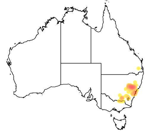 Acacia linearifolia flora location map