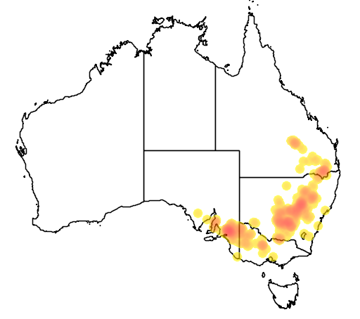 Acacia lineata flora location map