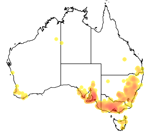 Acacia paradoxa flora location map