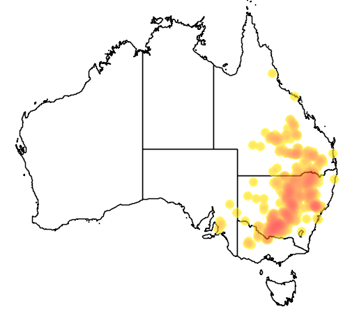 Acacia pendula flora location map