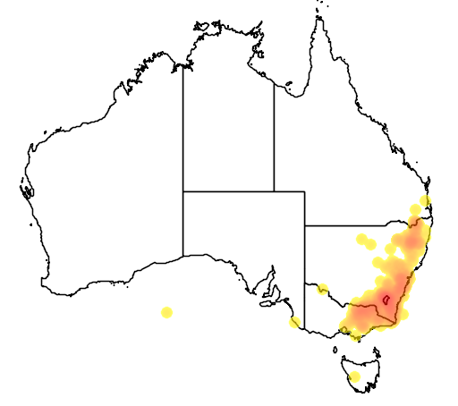 Acacia rubida flora location map