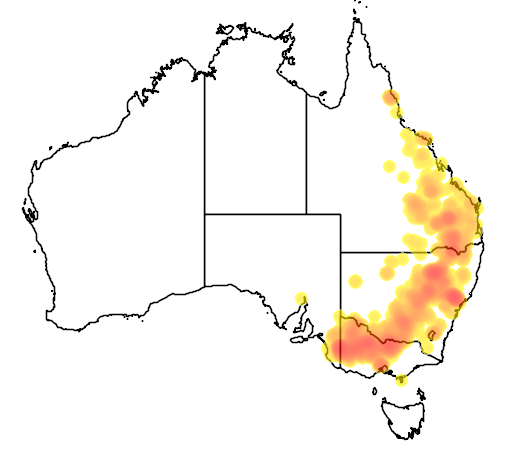 Allocasuarina luehmannii flora location map