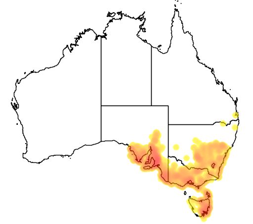 Allocasuarina verticillata flora location map