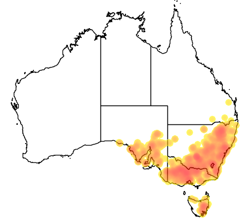 Arthropodium minus flora location map