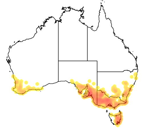 Austrostipa mollis flora location map