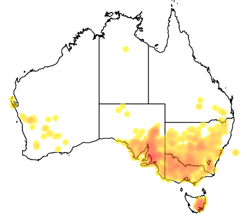 Austrostipa nodosa flora location map