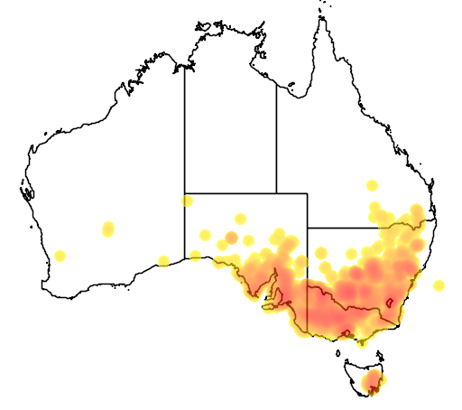 Austrostipa scabra subsp falcata flora location map