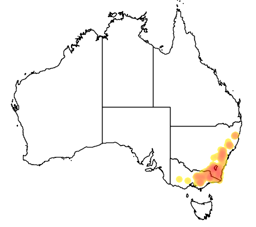 Baeckea utilis flora location map