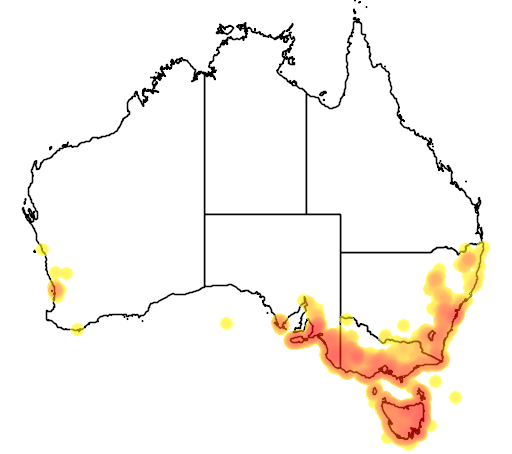 Banksia marginata flora location map