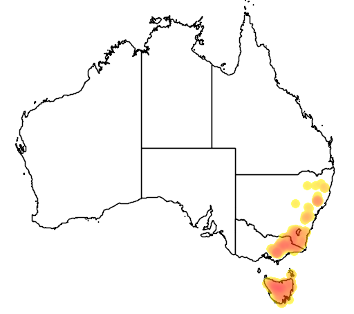 Alpine Water Fern flora location map