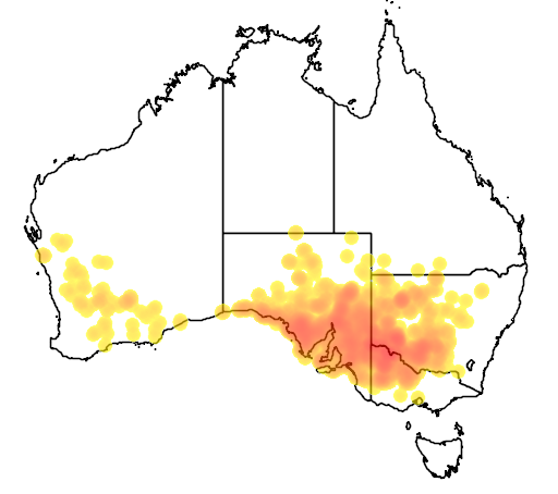 Brachyscome lineariloba flora location map