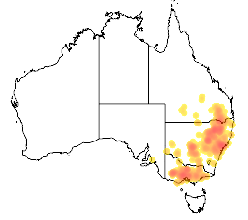 Cut-leaved Daisy flora location map