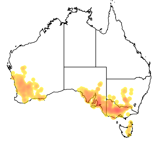 Brachyscome perpusilla flora location map