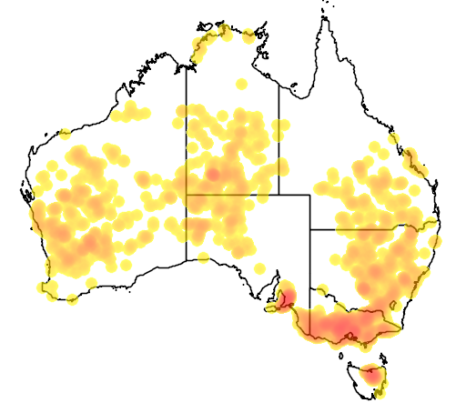 Brunonia australis flora location map