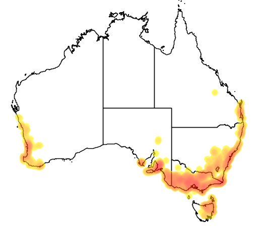 Burchardia umbellata flora location map