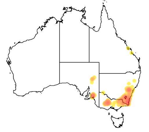 Bursaria lasiophylla flora location map