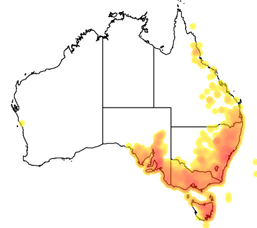 Bursaria spinosa flora location map