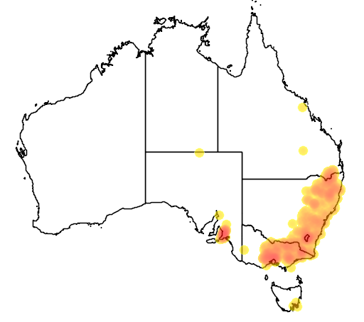 Callistemon sieberi flora location map