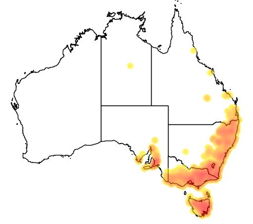Carex breviculmis flora location map