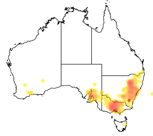 Cassinia arcuata flora location map