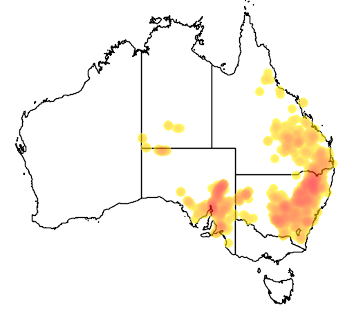 Cassinia laevis flora location map