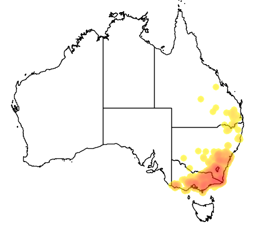 Cassinia longifolia flora location map