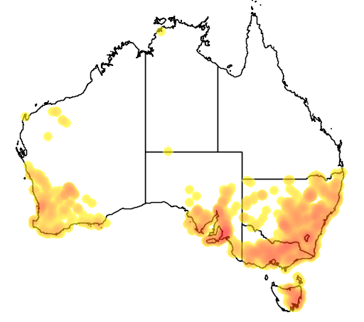 Cheilanthes austrotenuifolia flora location map