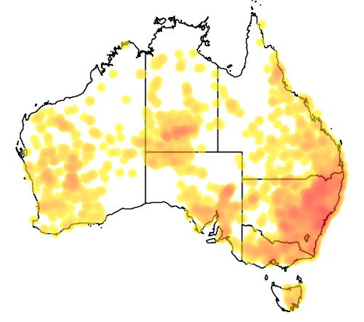 Cheilanthes sieberi subsp sieberi flora location map