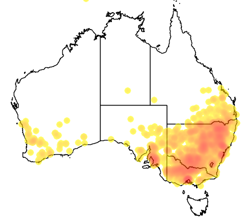 Chloris truncata flora location map