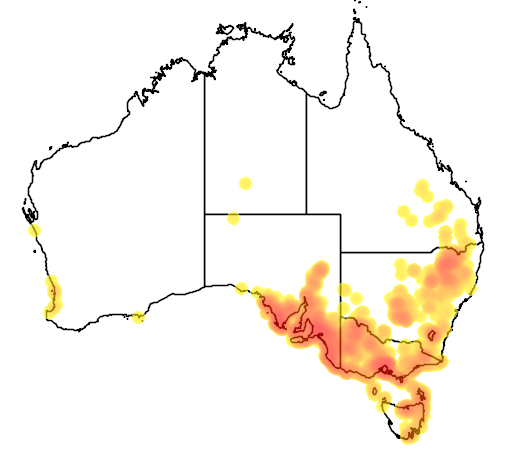 Clematis microphylla flora location map